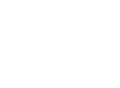 Медведь Электро